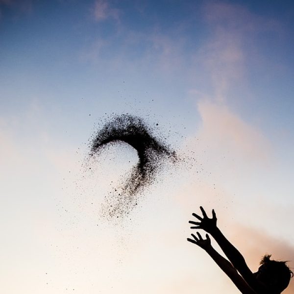 psy-gestalt-et-corps-marie-desmarres-beach